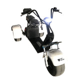 Fat Grizzly Fat Tire Electric Scooter